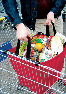 Einkaufskorb EASYBAG