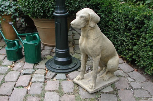 Stonedog Pointer Dog