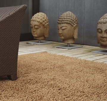 Carpet Gravel