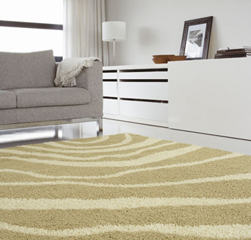 Carpet Living