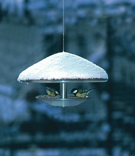 Bird house